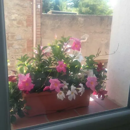 Chez Veronika * تورايْ